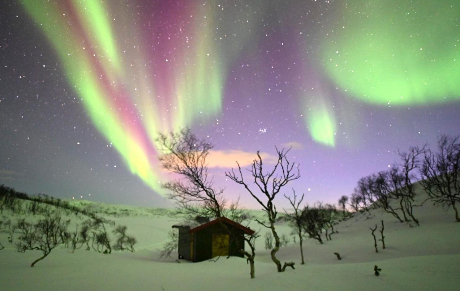 Atte Arstider Lodge Neiden ภายนอก รูปภาพ